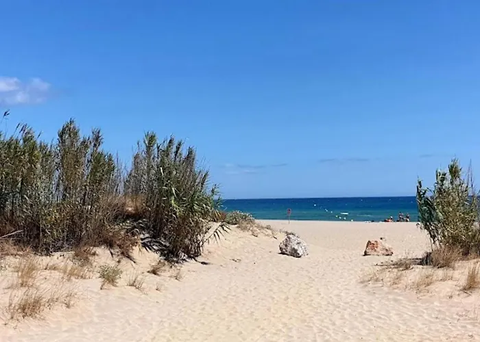 Mar Estang * 카네트